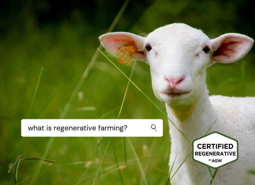 What is “Regenerative”? 9 Reasons You Should Care blog